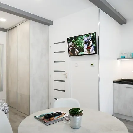 Pool Roznov Apartament